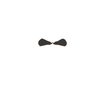 Animated skull background